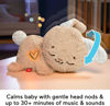 Picture of Fisher-Price Baby Sound Machine Soothe & Settle Bunny Portable Plush Toy with Music, Lights & Motion for Newborns