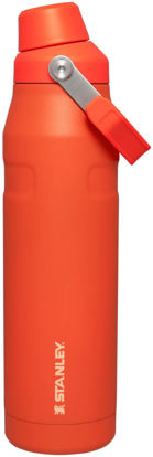 Picture of Stanley IceFlow Fast Flow Water Bottle 36 OZ | Angled Spout Lid | Lightweight & Leakproof for Travel & Gym | Insulated Stainless Steel | BPA-Free | Tigerlily