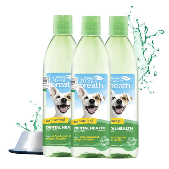 Picture of TropiClean Fresh Breath Water Additive | Dog Oral Care Water Additive for Dog Breath and Dental Health | VOHC Certified | Made in The USA | 16 Ounce | Pack of 3