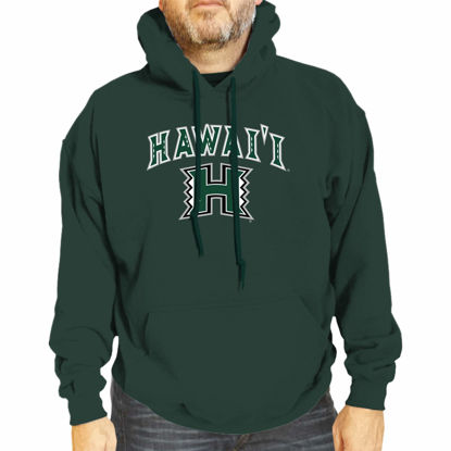 Picture of Campus Colors Adult Arch & Logo Soft Style Gameday Hooded Sweatshirt (Hawaii Rainbow Warriors - Green, Medium)