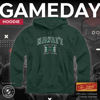 Picture of Campus Colors Adult Arch & Logo Soft Style Gameday Hooded Sweatshirt (Hawaii Rainbow Warriors - Green, Medium)