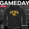 Picture of Campus Colors Adult Arch & Logo Soft Style Gameday Hooded Sweatshirt (Iowa Hawkeyes - Black, X-Large)