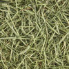 Picture of Kaytee All Natural Timothy Hay for Guinea Pigs, Rabbits & Other Small Animals, 2 Pound