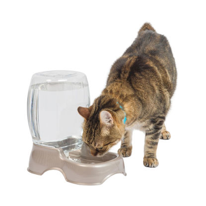 Picture of Petmate Pet Cafe Waterer Cat and Dog Water Dispenser 4 Sizes, Made in USA