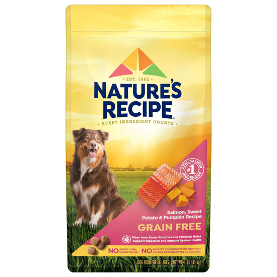 Picture of Nature′s Recipe Grain Free Salmon, Sweet Potato & Pumpkin Recipe Dry Dog Food, 4 lb. Bag