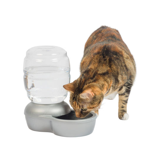 Picture of Petmate Replendish Automatic Gravity Waterer for Cats and Dogs, BPA-Free, No Batteries Required, Includes Charcoal Filter, 0.5 Gallon,Silver