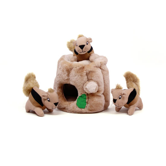 Picture of Outward Hound Hide A Squirrel Plush Dog Toy Puzzle, Medium