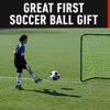 Picture of Franklin Sports- Size 4 F-100- Youth Soccer Ball