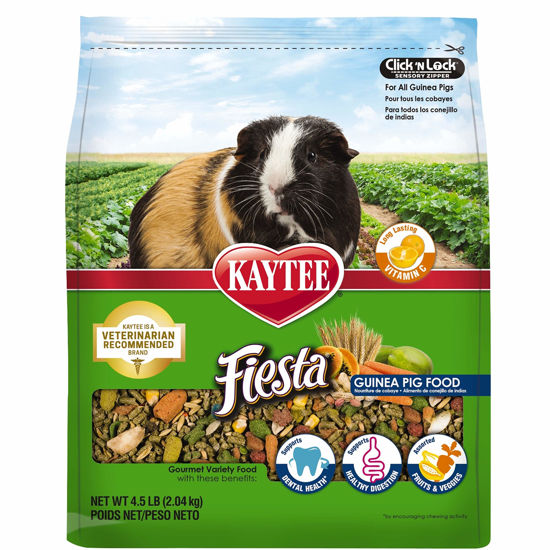 Picture of Kaytee Fiesta Pet Guinea Pig Food, 4.5 Pound