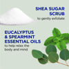 Picture of Dr Teal's Shea Sugar Scrub, Eucalyptus & Spearmint Essential Oils, 19 oz (Pack of 3)