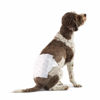 Picture of Amazon Basics Male Dog Wrap, Disposable Diapers, Large - Pack of 30, White