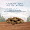 Picture of Blue Buffalo Wilderness Crunchy Cat Treats, Chicken 2-oz Bag (12 Pack)