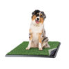 Picture of Artificial Grass Puppy Pee Pad for Dogs and Small Pets - 20x25 Reusable 4-Layer Training Potty Pad with Tray - Dog Housebreaking Supplies by PETMAKER