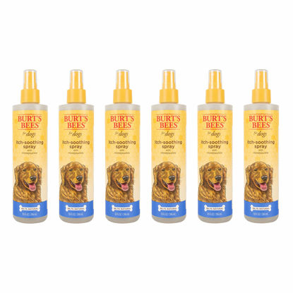 Picture of Burt's Bees for Pets Itch Soothing Spray with Honeysuckle | Best Anti-Itch Spray for Dogs With Itchy Skin | Cruelty Free, Sulfate & Paraben Free, pH Balanced for Dogs - Made in the USA, 10 Oz -6 Pack