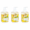 Picture of Michel Design Works Foaming Hand Soap, 17.80-Fluid Ounce, Lemon Basil - 3-PACK