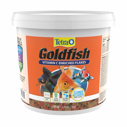 Picture of Tetra Goldfish Flakes, Nutritionally Balanced Diet For Aquarium Fish, Vitamin C Enriched Flakes, 2.2 lbs