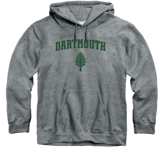 Picture of Barnesmith Dartmouth College Big Green Hooded Sweatshirt, Heritage, Charcoal Grey, X-Large