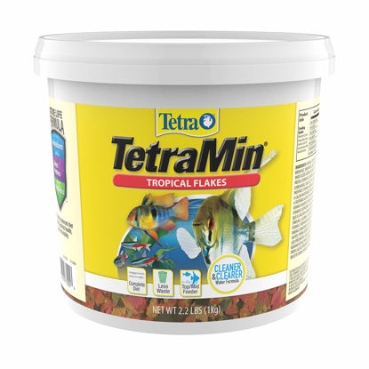 Picture of TetraMin Nutritionally Balanced Tropical Flake Food for Tropical Fish, 2.2 lbs