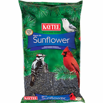 Picture of Kaytee Wild Bird Black Oil Sunflower Food, 5 Pounds