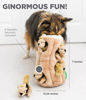 Picture of Outward Hound Hide A Squirrel Plush Dog Toy Puzzle, XL