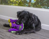 Picture of goDog Dinos Bruto Squeaky Plush Dog Toy, Chew Guard Technology - Purple, Large