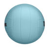 Picture of WILSON AVP Soft Play Volleyball - Official Size, Blue