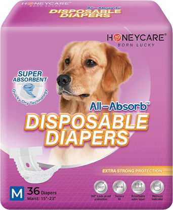 Picture of HONEY CARE All-Absorb Disposable Female Dog Diapers M Size, Improved Bigger Size, 36 Count, Super Absorbent, Breathable, Wetness Indicator