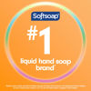 Picture of Softsoap Antibacterial Liquid Hand Soap, Crisp Clean Scent Hand Soap, 11.25 Ounce, 6 Pack