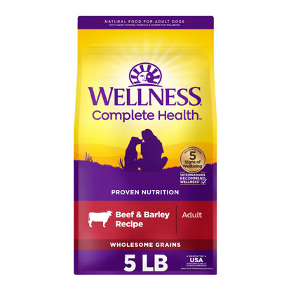 Picture of Wellness Complete Health Adult Dry Dog Food, Beef & Barley Recipe, 5 Pound Bag