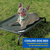 Picture of COOLAROO The Original Cooling Elevated Dog Bed, Indoor and Outdoor, Small, Grey