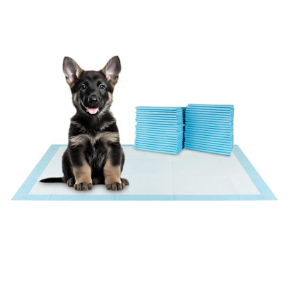 Picture of BV XXL Puppy Pads XX-Large Leak-Proof 30"x36" [20CT] | Pee Pads for Dogs Ultra Absorbent - Dog Pee Pads, Dog Pads, Potty Pads for Dogs, Training Pads for Dogs, Dog Pad for Cat, Rabbit, Guinea Pig