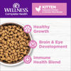 Picture of Wellness Natural Pet Food Complete Health Natural Grain Free Deboned Chicken & Chicken Meal Dry Kitten Food, 5.5 Pound Bag