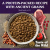 Picture of Taste of the Wild with Ancient Grains Ancient Mountain Canine Recipe with Roasted Lamb Dry Dog Food, Made with High Protein from Real Lamb and Guaranteed Nutrients and Probiotics 5lb