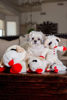 Picture of Multipet Lamb Chop 10" (Pack of 3)