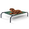 Picture of Coolaroo The Original Cooling Elevated Pet Bed,Brunswick Green, Small