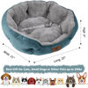 Picture of Asvin Medium Dog Bed for Medium Dogs, Large Cat Beds for Indoor Cats, Pet Bed for Puppy and Kitty, Extra Soft & Machine Washable with Anti-Slip & Water-Resistant Oxford Bottom, Teal, 25 inches