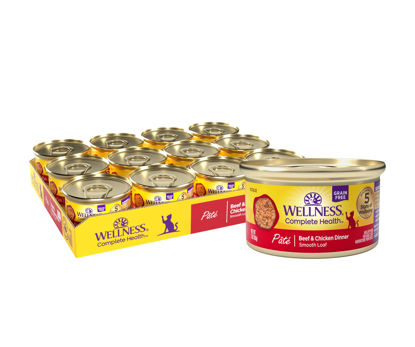 Picture of Wellness Complete Health Grain-Free Wet Canned Cat Food, Natural Ingredients, Made with Real Meat, All Breeds, Smooth Pate, Beef & Chicken, 3 Ounce (Pack of 24)