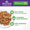 Picture of Wellness Complete Health Natural Grain Free Wet Canned Cat Food, Minced Turkey Entree, 3-Ounce Can (Pack of 24)