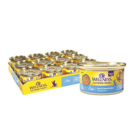 Picture of Wellness Complete Health Grain-Free Wet Canned Cat Food, Natural Ingredients, Made with Real Meat, All Breeds, Smooth Pate (Beef & Salmon, 3-Ounce Can, Pack of 24)