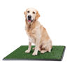 Picture of Artificial Grass Puppy Pee Pad for Dogs and Small Pets - 20x30 Reusable 3-Layer Training Potty Pad with Tray - Dog Housebreaking Supplies by PETMAKER