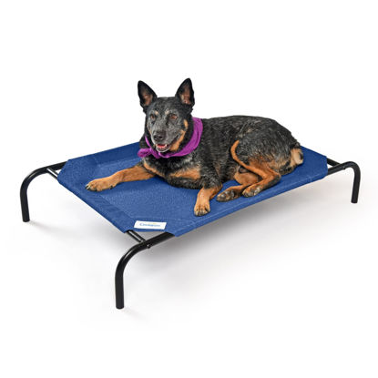 Picture of COOLAROO The Original Cooling Elevated Dog Bed, Indoor and Outdoor, Medium, 42"L x 25.5"W x 8"Th, Aquatic Blue