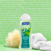 Picture of Softsoap Eucalyptus & Mint Body Wash, Moisturizing Body Wash, 20 Oz, (4 Pack)