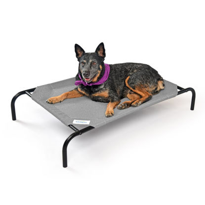 Picture of COOLAROO The Original Cooling Elevated Dog Bed, Indoor and Outdoor, Medium, Grey