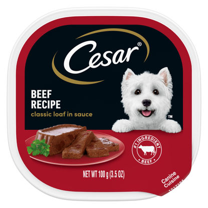 Picture of CESAR Wet Dog Food Loaf in Sauce Beef Recipe, (24) 3.5 oz. Easy Peel Trays