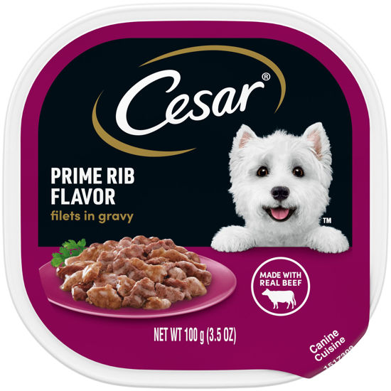 Picture of CESAR Filets in Gravy Adult Wet Dog Food, Prime Rib Flavor, 3.5 oz., Pack of 24