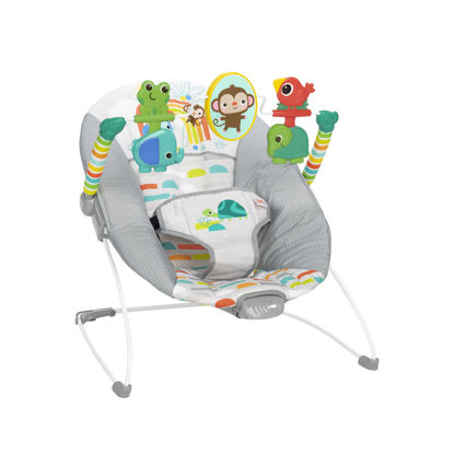 Picture of Bright Starts Playful Paradise Comfy Baby Bouncer Seat with Soothing Vibration and Toys, Unisex, 0-6 Months