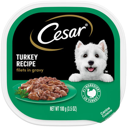 Picture of CESAR Filets in Gravy Adult Wet Dog Food, Turkey Recipe, (24) 3.5 oz. Easy Peel Trays