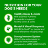 Picture of IAMS Proactive Health Healthy Aging Adult Dry Dog Food for Mature and Senior Dogs with Real Chicken, 7 lb. Bag