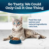 Picture of Blue Buffalo Tastefuls Adult Dry Cat Food Sensitive Stomach Formula, Made in the USA with Natural Ingredients, Chicken Recipe, 7-lb. Bag