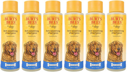 Picture of Burt's Bees for Pets Itch Soothing Shampoo with Honeysuckle | Anti-Itch Dog Shampoo for All Dogs with Sensitive Skin | Cruelty Free, Sulfate & Paraben Free, pH Balanced for Dogs, 16 Oz - 6 Pack